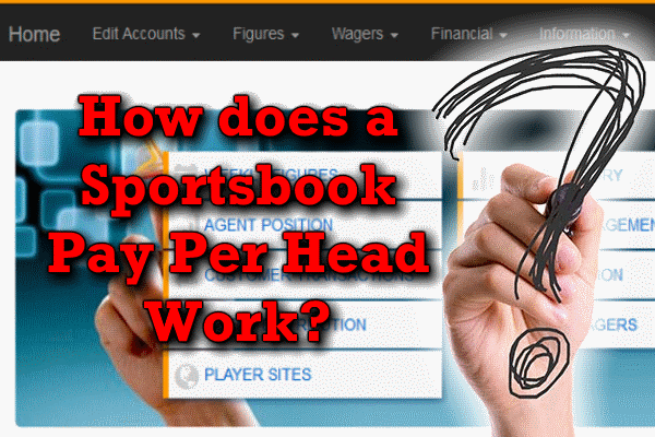 How Does a Sportsbook Pay Per Head Work?