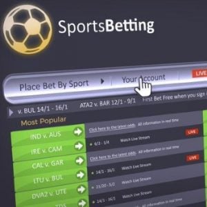 Gambling on the American Sports Betting Market