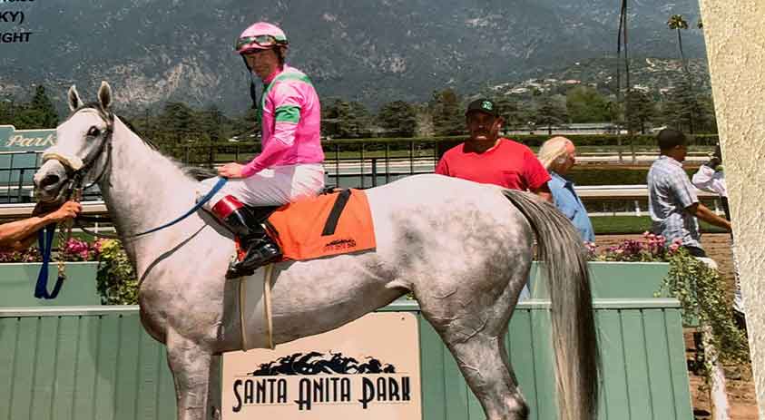 Pay Per Head Horse Racing: Deaths Put Santa Anita Under Scrutiny