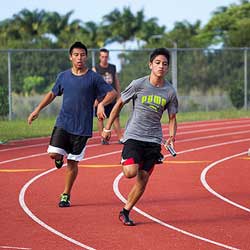 Hawaii Sportsbook News – Bills Seeks Tougher Penalties for Assaulting Sports Officials