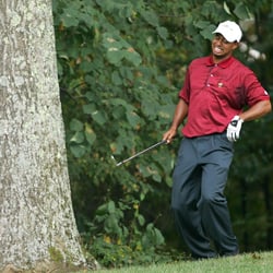 Tiger Woods Underwent More Procedures after Car Accident