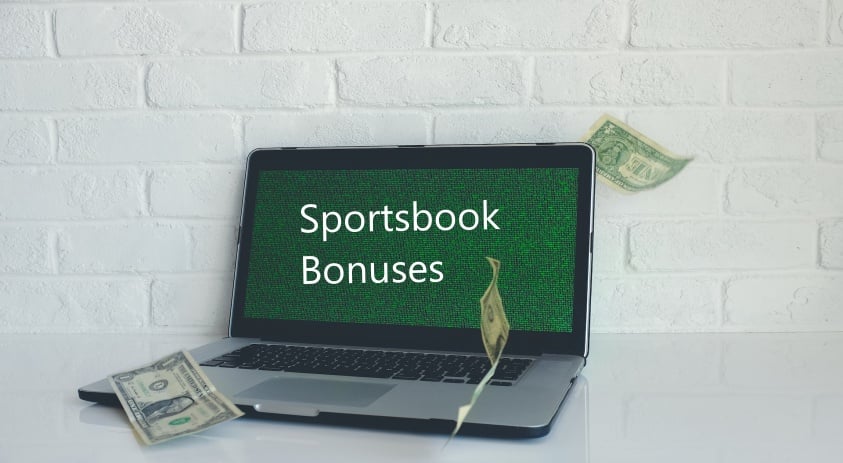 Types of Bonuses You Can Offer in Your Pay Per Head Sportsbook