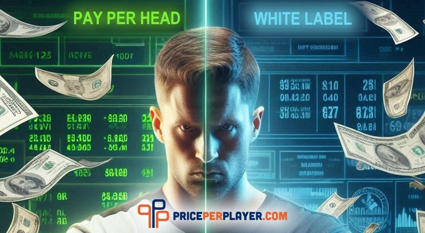 Pay Per Head Sportsbook vs White Label Sportsbook